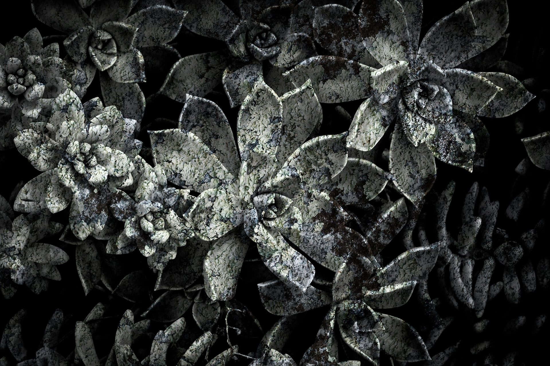 Plant abstract.