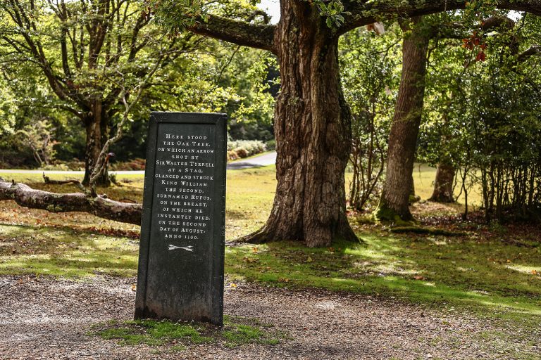 The Rufus Stone in the New Forest, Hampshire.